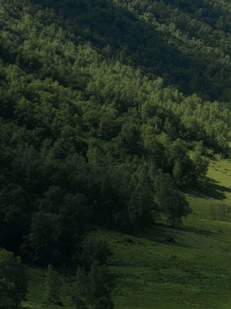 Menos uso de recursos naturales